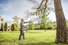 Best Root Management and Removal  in Lake Mack Forest Hills, FL